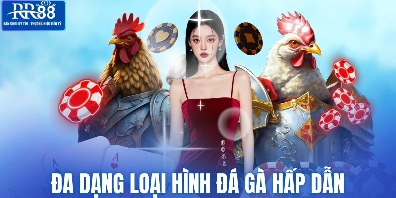 Đa dạng các hình thức chọi kê kịch tính
