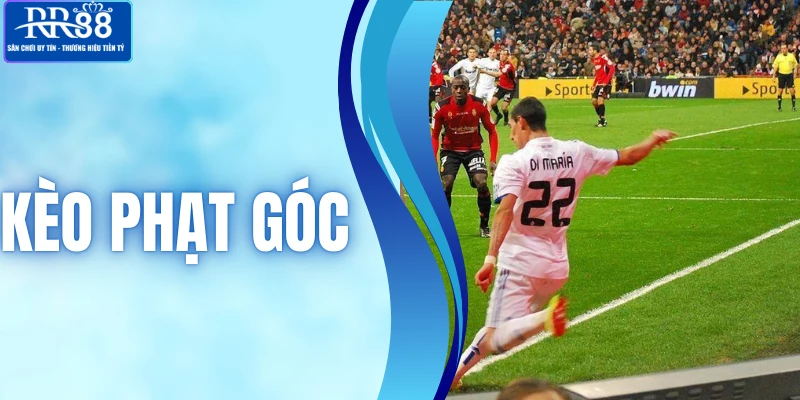 Kèo Phạt Góc - Thể Loại Dự Đoán Bóng Đá Lợi Nhuận Hấp Dẫn